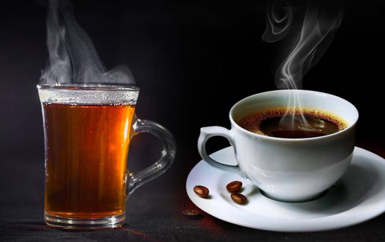 Why Tea and Coffee are Essential to Your Daily Routine ? | TAMAKHU
